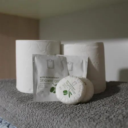 Location G&w, Tres Proche Sanctuaires * Lourdes