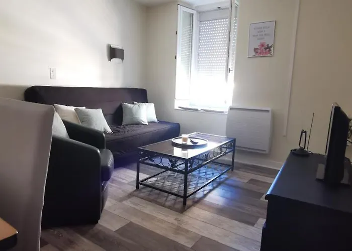 דירה Location G&w, Tres Proche Sanctuaires לורדה