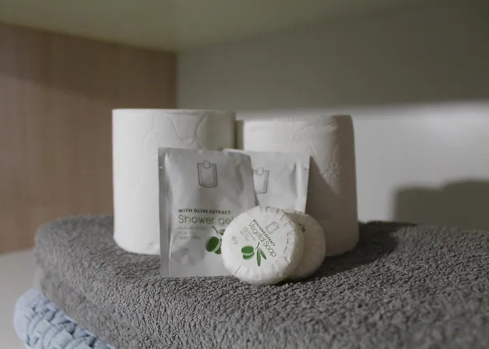 Location G&w, Tres Proche Sanctuaires * לורדה